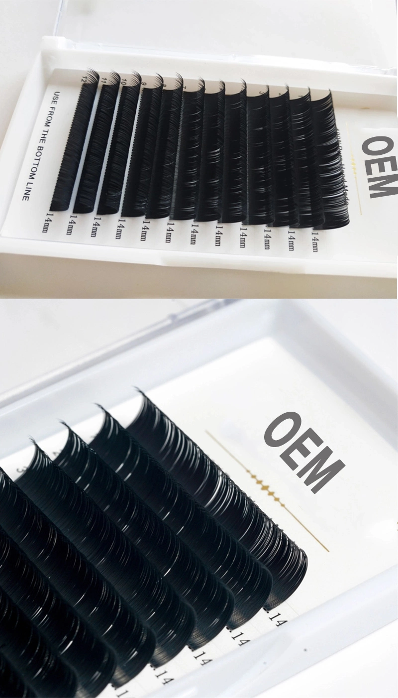 Private Label Fast Blooming Mink Lashes 0.03 0.05 0.07 Mega Russian Volume Easy Fan Eyelash Extensions