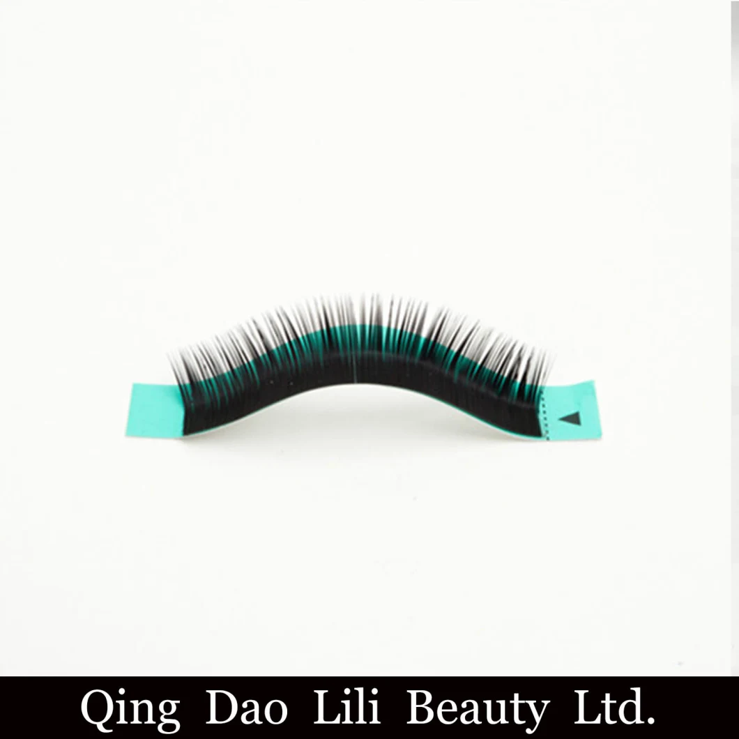 Qingdao Supplier Prime Silk Lash Eyelash Extensions False Eyelash Individual Eyelash