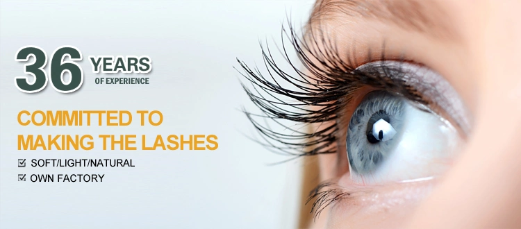 Magnetic False Eyelashes 5 Manufacturer False Magnetic Lashes