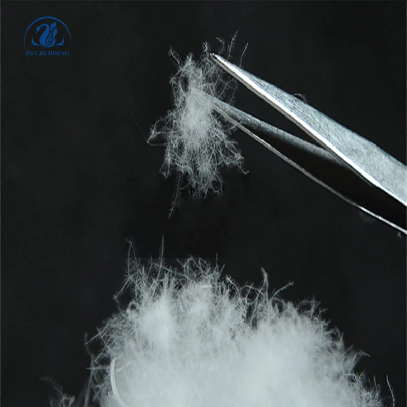 Wholesale Supplier Cheap Price Washed White Duck Feather 50% Down and Feather