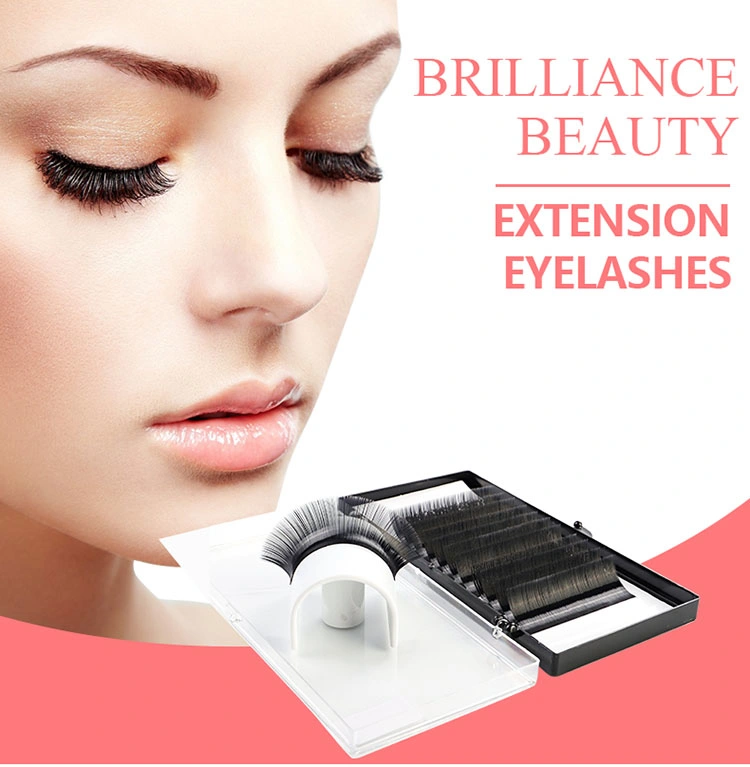 Customized Mink Eyelash Extensions 5D Mink Eyelash, 5D Mink Lashes False Eyelash Extension