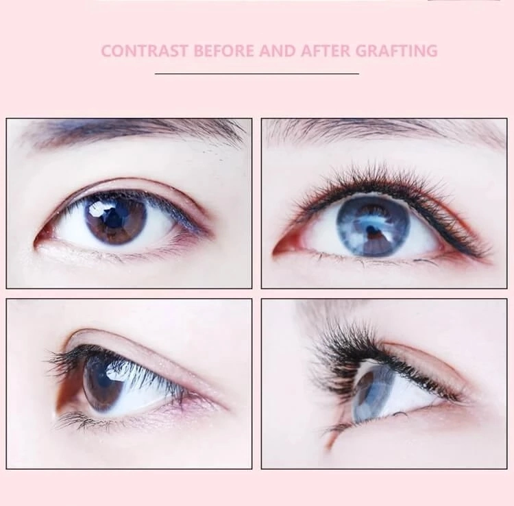 Factory Price False Curl Color Natural Top Quality Colorful Eyelash Extension