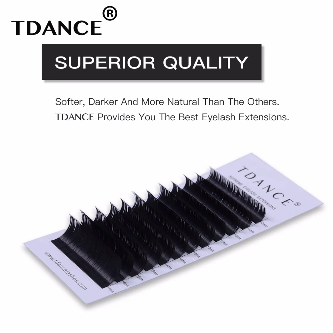 Wholesale Matte Volume Lashes Easy Fanning Eyelash Extensions Russian Volume Lashes