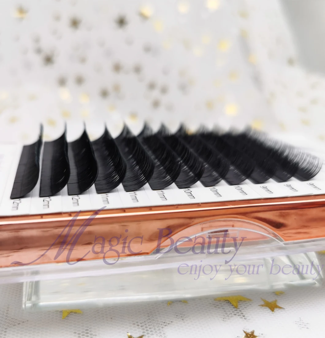 Factory Price Wholesale Easy Fanned Eyelash Extensions with Free Boxes