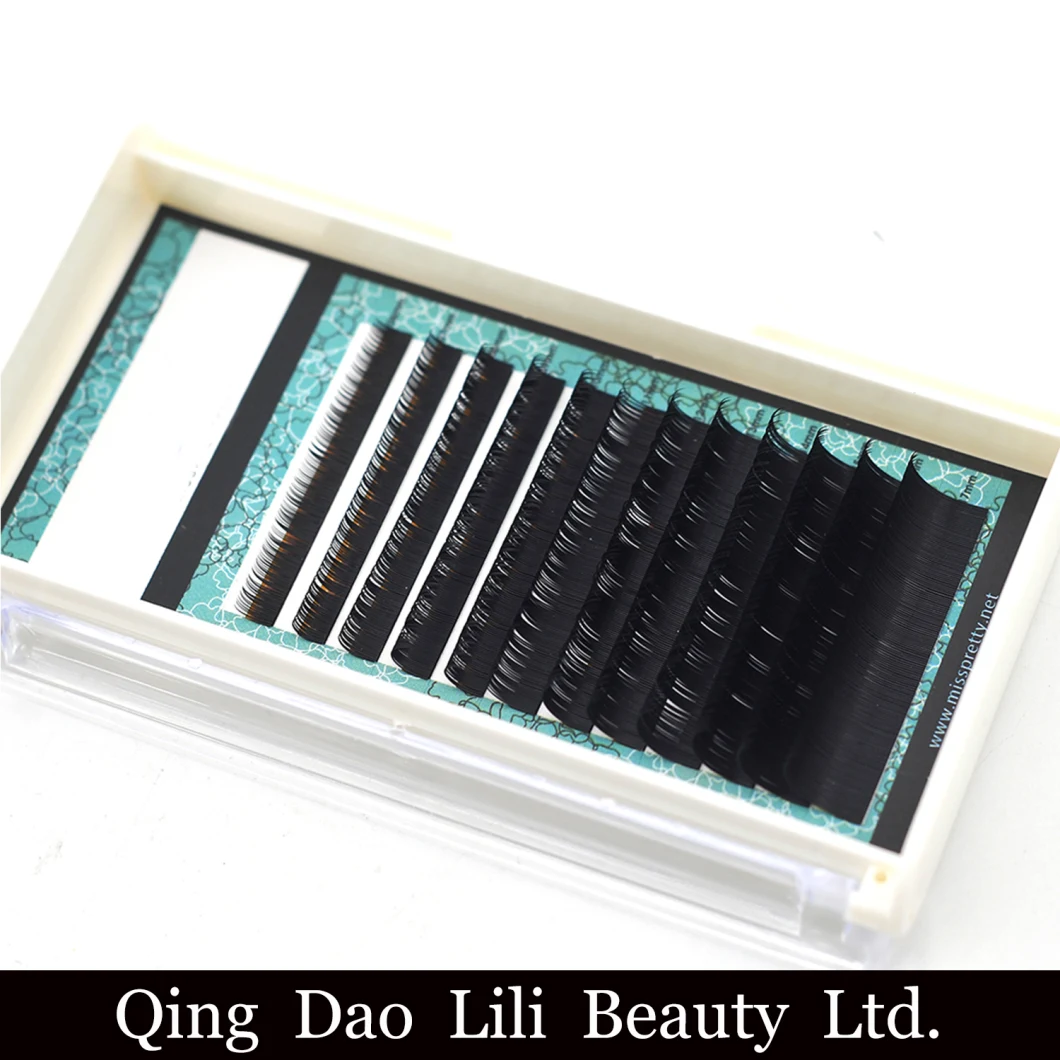 Wholesale 3D/6D/9d Eyelashes Blooming Easy Fans Lashes One Second Fan Eyelash Extension