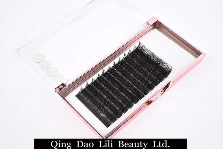 Hot Sales ODM Lashes Ellipse Flat Eyelash Extensions Rapid Lashes Cc Curl Easy Fan Blooming Eyelash