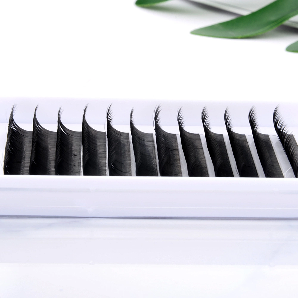 Volume Eyelashes Fans Lashes Grafting