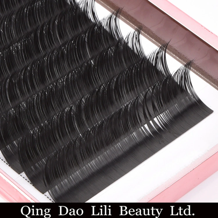 Hot Sales ODM Lashes Ellipse Flat Eyelash Extensions Rapid Lashes Cc Curl Easy Fan Blooming Eyelash