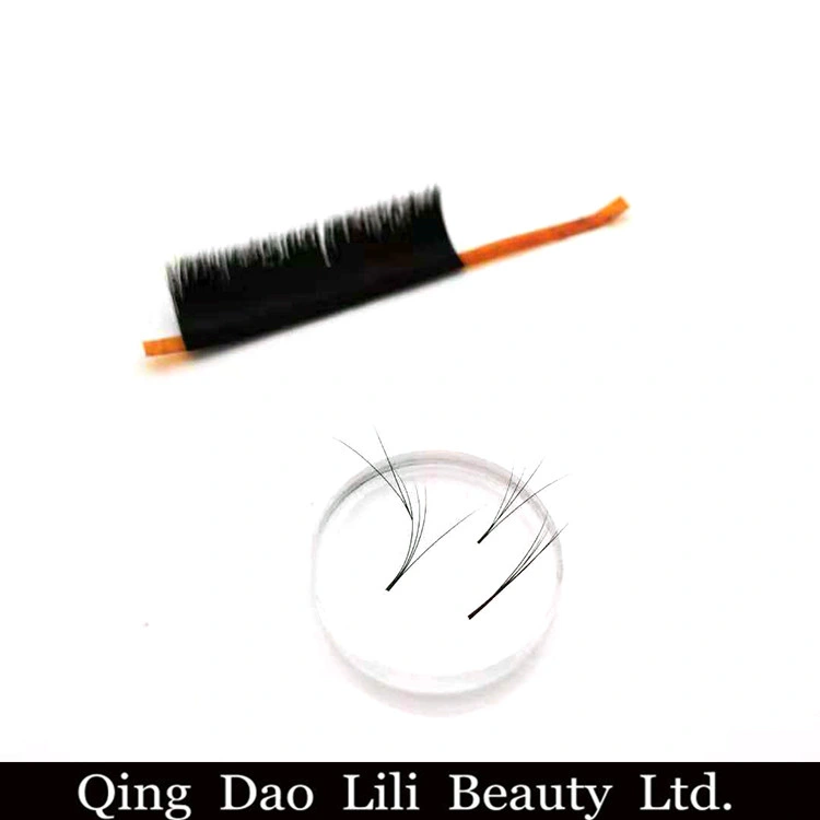 Hot Sales ODM Lashes Ellipse Flat Eyelash Extensions Rapid Lashes Cc Curl Easy Fan Blooming Eyelash