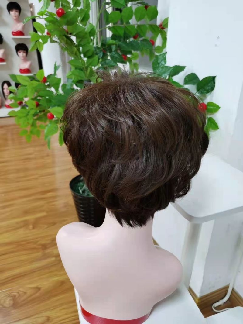 Factory Price 100% Human Hair Manchine Made Wigs