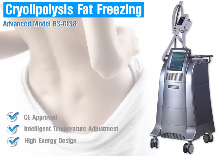(BS-CLS8) Body Slimming Beauty Machine Cryolipolysis Freeze