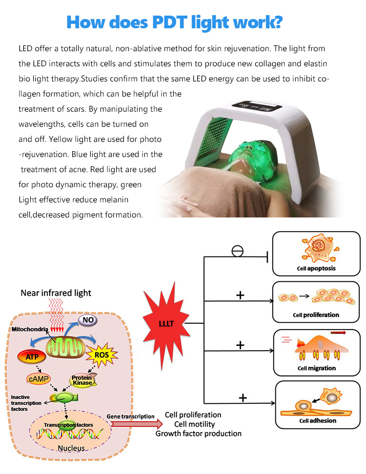 7 Colors Anti-Aging PDT Beauty Machine LED Light Therapy