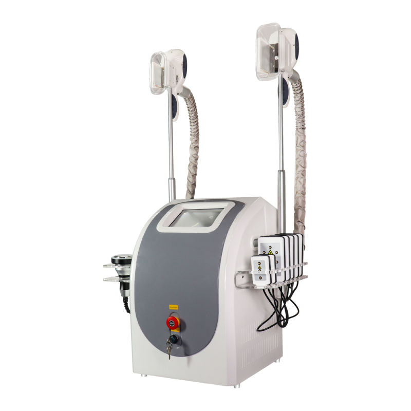 Cheap Price 360 Degree Non Vacuum Cryolipolysis Fat Freezing Sculpting Machine at Home