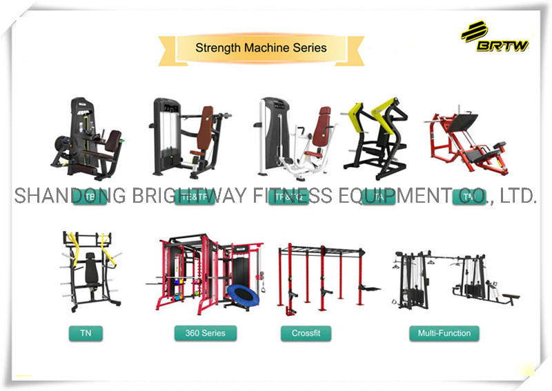 Torso Machine Fitness Machine for Body Building