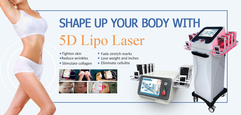 Portable 12 Pads 5D Lipo Laser Machine for Body Slimming