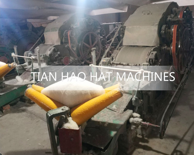 Dyeing Machine for Wool Felt Hat Body