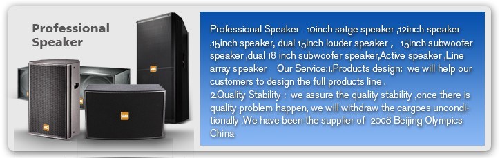 Two Way Full Range Professional Speaker 400W Plywood Professional Speaker