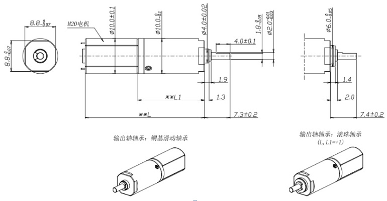 Ce RoHS 10mm Micro Planetary Gearbox Motor for Beauty Tools