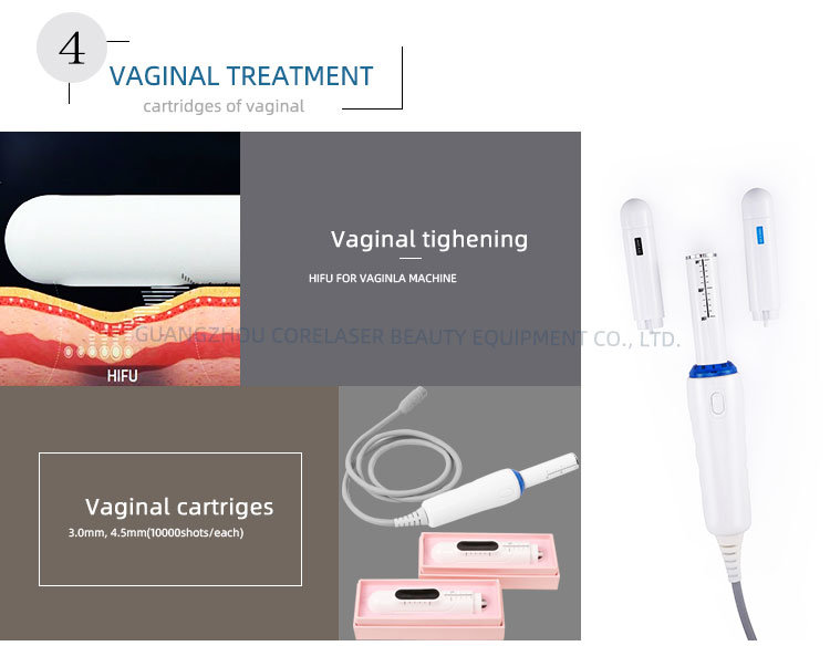 CE Approved Vaginal Tightening Face Lifting Wrinkle Removal 4D Hifu Machine
