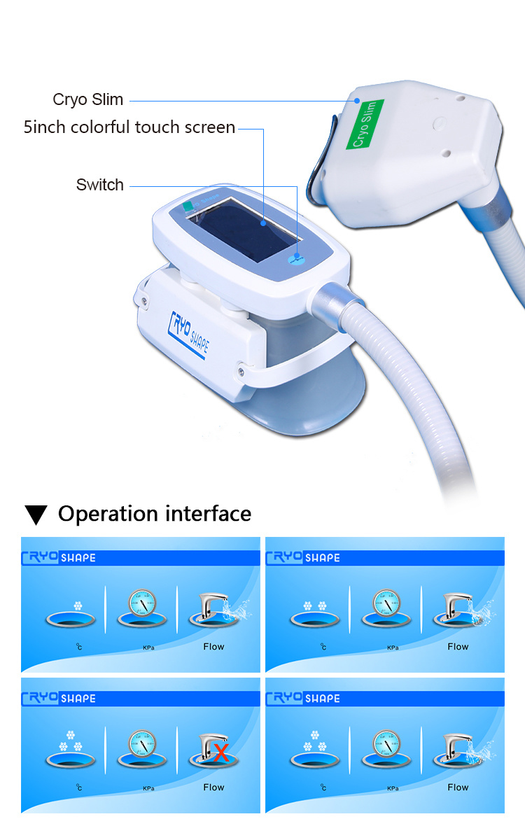 Portable Fat Freezing Body Weight Loss Cryolipolysis Beauty Equipment