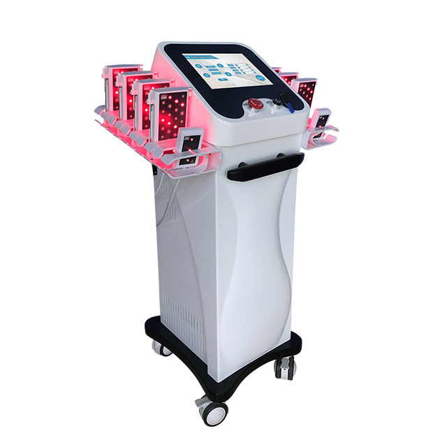 Beauty Equipment Lipo Beauty Laser Machine