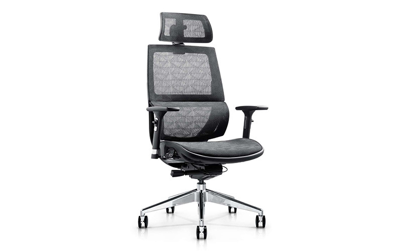 Modern Style of Ergonomic Chair for Home&Office Furniture (OW-426)