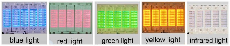 PDT Machine LED Light Therapy Machine High Power Dermalux LED Lichttherapie PDT Systemen