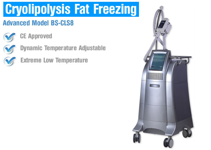 (BS-CLS8) Body Slimming Beauty Machine Cryolipolysis Freeze