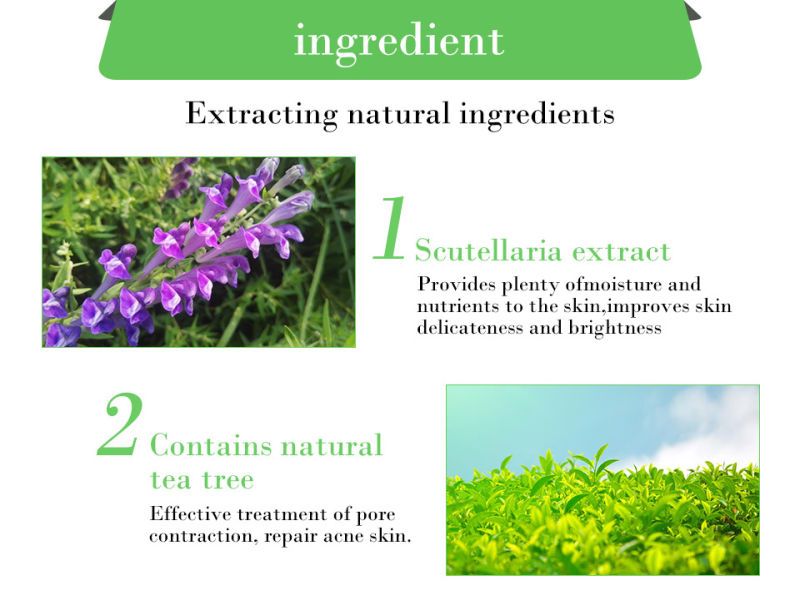 Scutellaria Acne Essence Gel Dispels Acne Anti-Acne Lifting Tightening Moisturizing and Hydrating