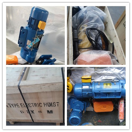 Cable Type Electric Wire Rope Hoist Removable Type Lifting Hoist