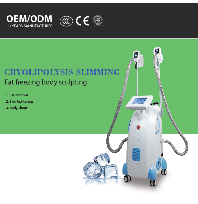 5 in 1 Coolscuplting Cryolipolysis Fat Freezing Body Slimming Machine