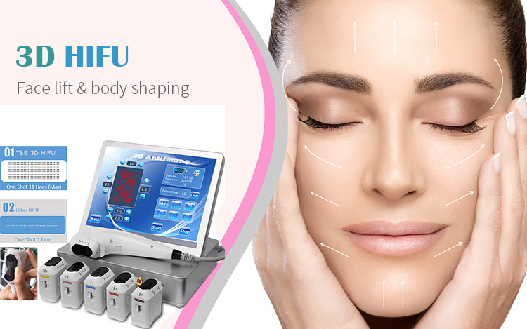 Newest Portable 3D Hifu Machine for Wrinkle Removal and Body Lifting