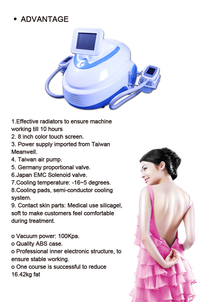 Portable Fat Freezing Body Weight Loss Cryolipolysis Beauty Equipment