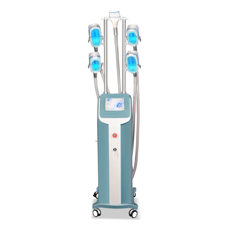 Multifunction Portable 3 Handles Cavitation RF 360 Cryo Slimming Cryotherapy Machine for Body Sculpting