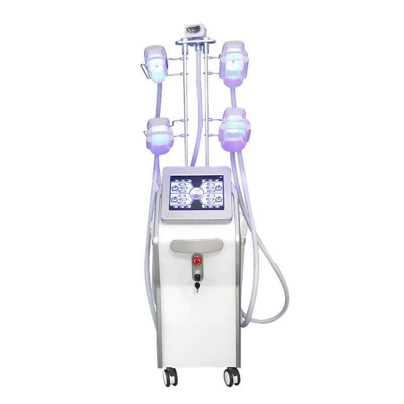 Coolsculpting Cryolipolysis Fat Freezing Machine Vacuum Fat Cellulite Machines for Body Slimming
