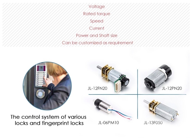 Cleaning Instrument Brushless DC Motor Beauty Instrument Brushless Motor