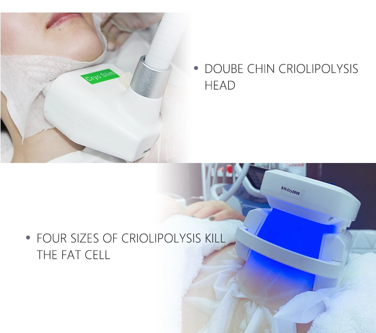 CE Approved Vacuum Cooling 4D Body Slimming Cryotherapy Fat Freezing Cryolipolysis Machine
