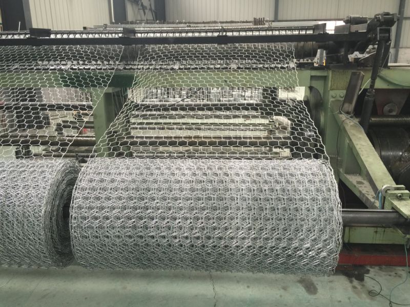 Hot Dipped Galvanized Before/After Chicken Wire Mesh Wire Netting