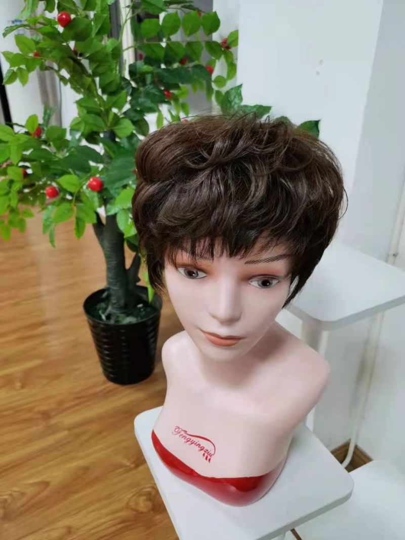 Factory Price 100% Human Hair Manchine Made Wigs