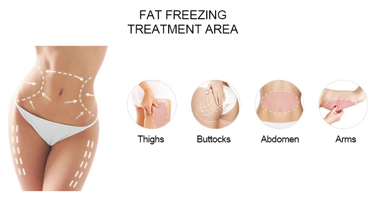 Two Handles Fat Freezing Slimming Fat Freezing Machine for Cryolipolysis