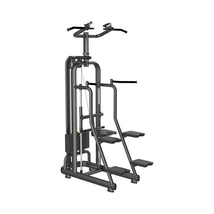 Gym Equipment Professional/Professional Sports Equipment Easy Chin/DIP (LD-7087)