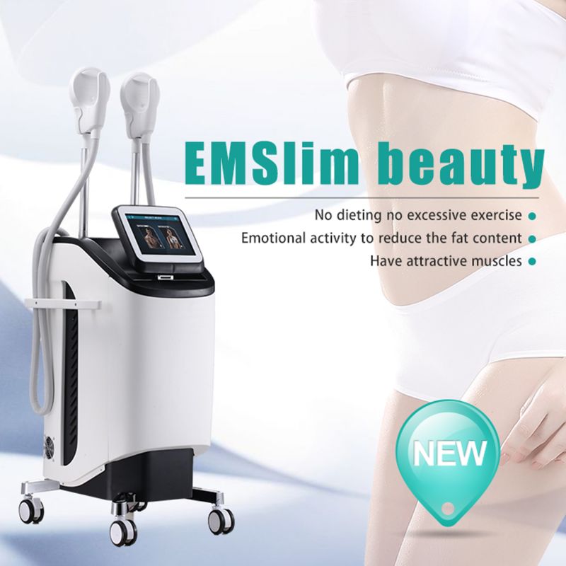 IN-M119 Fat Reduction Treatment Non Surgical Body slim beauty machine