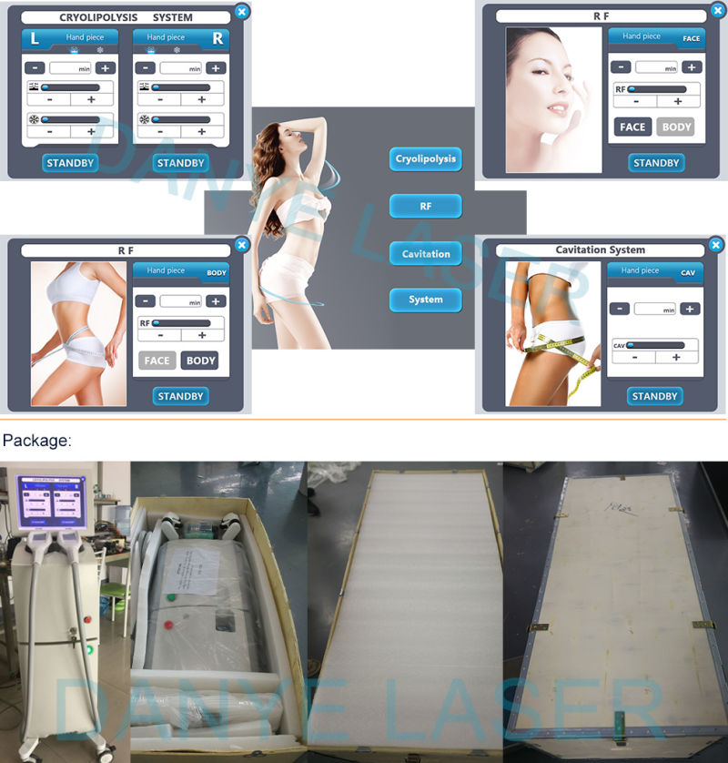 New 360 Cryolipolysis Body Sculpt Beauty Machine for Beauty Salon/Clinic Use