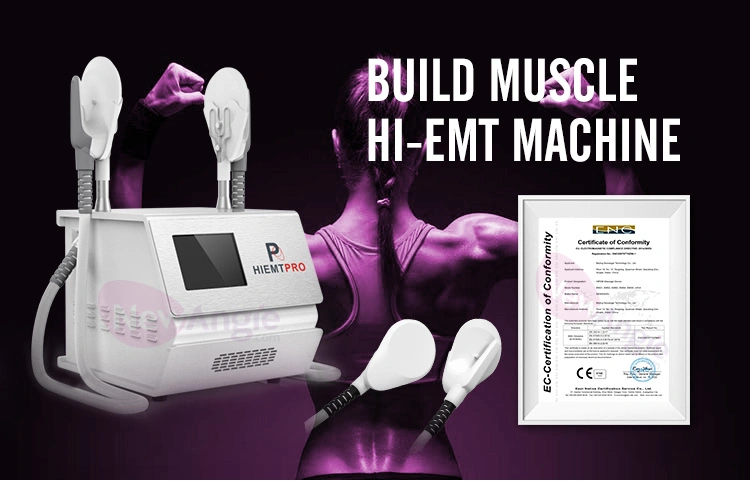 Portable Hiemt EMS Fat Burning Body Slimming Muscle Building and Fat Burningfor Beauty Clinic