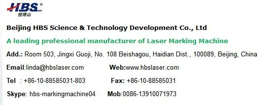 Cabinet Fiber Laser Marking Machine /Laser Printing Machine with FDA Certification