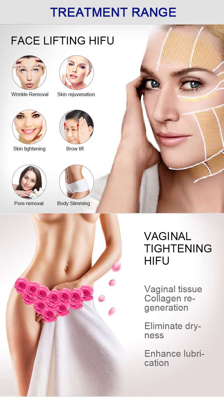 2 in 1 High Intensity Focused Ultrasound 3D Hifu Face Lifting Hifu Wrinkle Removal Machine