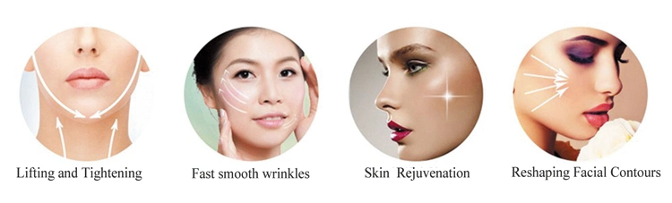 Beauty Machine Hifu Face Lift High Intensity Focused Ultrasound Tighten Skin Slimming Treatment for Salon