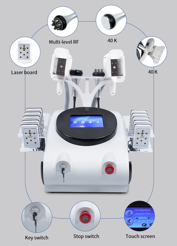 Sume Cryolipolysis Vacuum Slimming Weight Loss Beauty Equipment with 4 Handles Diode Laser Slimming Beauty Equipment