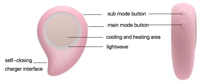 Home Use Radio-Frequency Beauty Equipment Light Therapy Beauty Device
