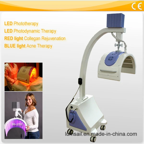 Wholesale Photon PDT LED Belt Light Therapy Skin Rejuvenation LED/PDT Light Therapy